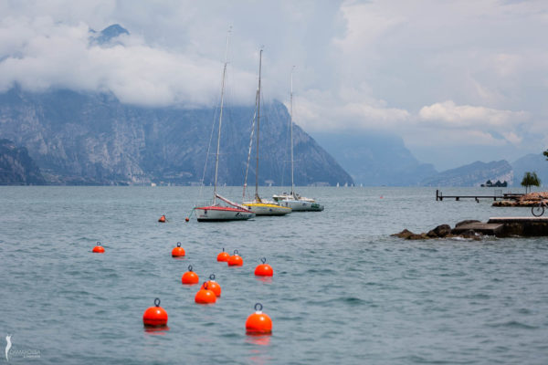 corsorzio-lago-garda-damarossa-16