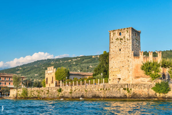 corsorzio-lago-garda-damarossa-22